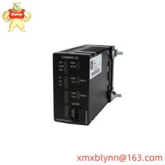 GE IS220PRTDH1A RTD Input Module, High Precision Industrial Control Component