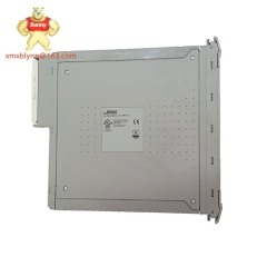 ICS TRIPLEX T8461C  Safety communication module