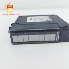 GE	IC695ALG312 | Analog Input Modul