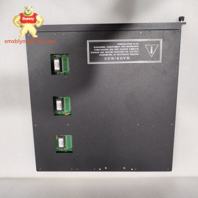 Model 3511 TRICONEX 3511 | Analog Input Module