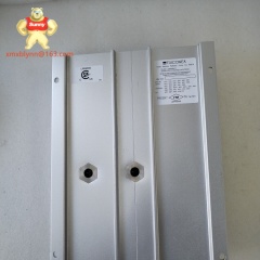 TRICONEX  2351 | Safety Digital Input Module