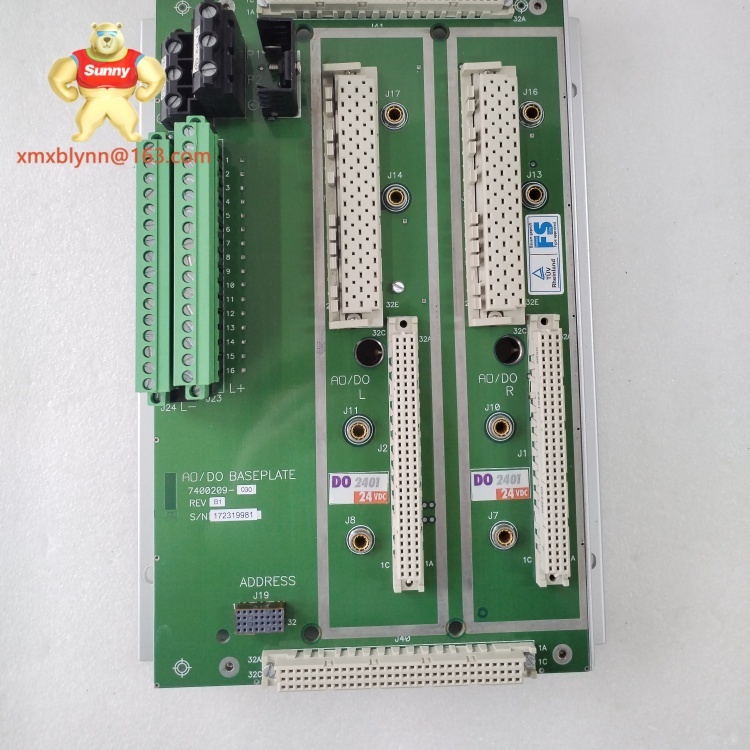 TRICONEX  2401S2 | Safety Analog Input Module