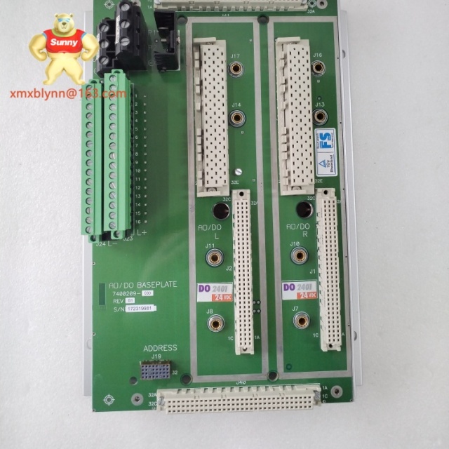 TRICONEX  2401S2 | Safety Analog Input Module