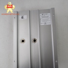TRICONEX  2481 | Communication Interface Module