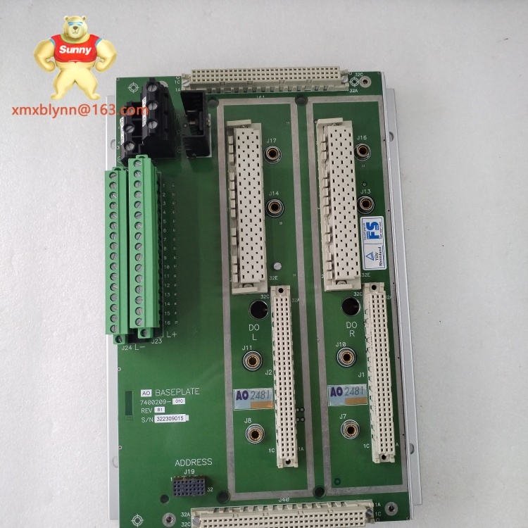 TRICONEX  2481 | Communication Interface Module