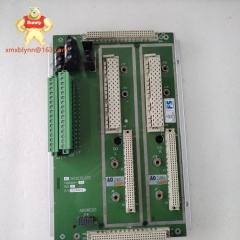 TRICONEX  2481 | Communication Interface Module