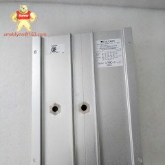 TRICONEX  2481 | Communication Interface Module