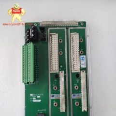 TRICONEX  2481 | Communication Interface Module