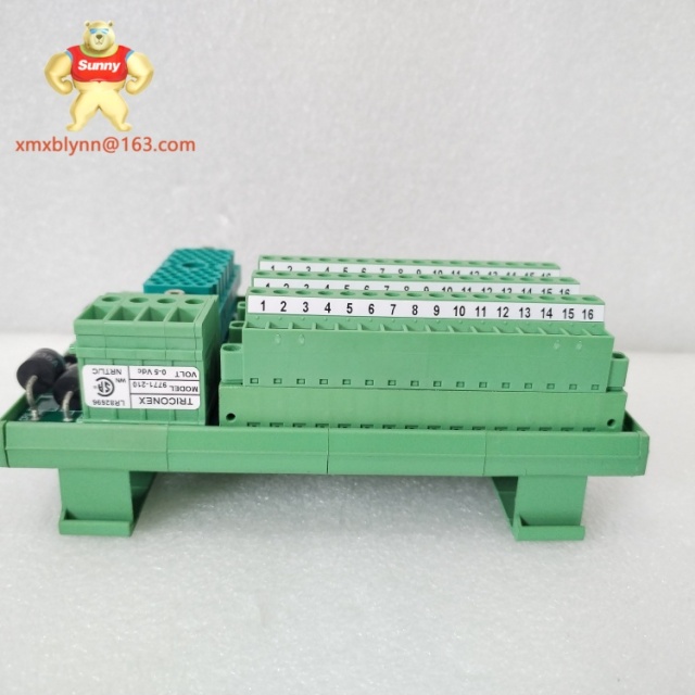 TRICONEX	3000678-100 | Digital Output Module