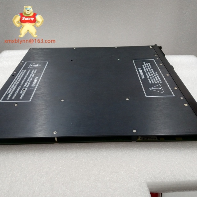 TRICONEX  TX3008 | Compact Safety Controller