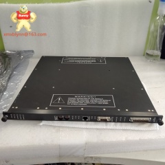 TRICONEX  3004 | Communication Interface Module