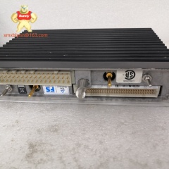 TRICONEX  3351 | Digital Output Module