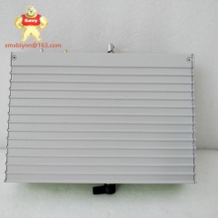 TRICONEX  DI3301S2 | Digital Input Module