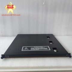 TRICONEX  3361 | Digital Input Module