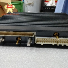 TRICONEX  DI3301 | Digital Input Module