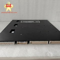 TRICONEX  3504E | Dual-Voltage Digital Input Module