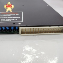 TRICONEX  3623T | Digital Output Module
