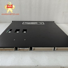 TRICONEX	3664  | Dual-Channel Digital Output Module