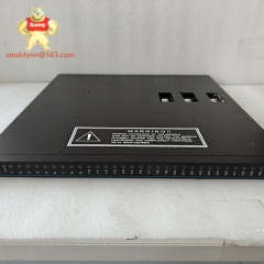 TRICONEX	3664  | Dual-Channel Digital Output Module