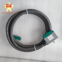 TRICONEX	4000093-310 | SIL 3 Certified Analog Output Module