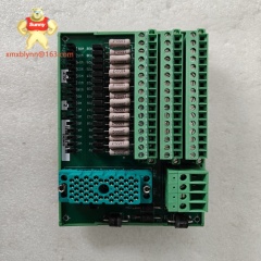 TRICONEX	4000187-320 | Safety Digital Output Module