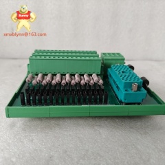 TRICONEX	4000187-320 | Safety Digital Output Module