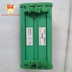 TRICONEX	3721/ 9771-210 | Safety Analog Input Module