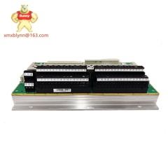 TRICONEX  AI2351 7400210-010 | Analog Input Module