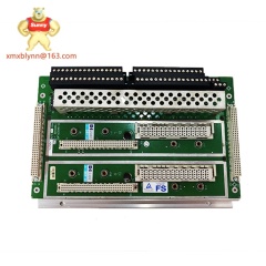 TRICONEX  DI2301 7400208-020  | Digital Input Module