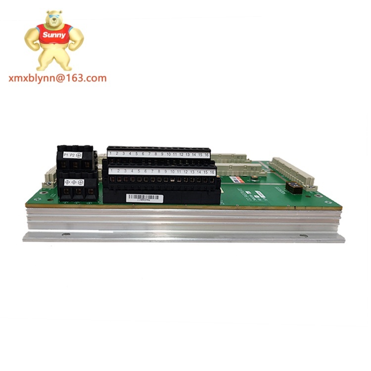TRICONEX  DO2401 7400209-030 | Digital Output Module