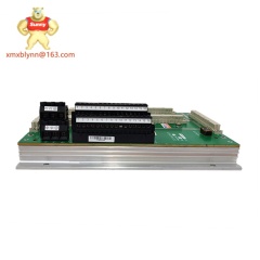 TRICONEX  DO2401 7400209-030 | Digital Output Module