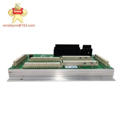 TRICONEX  DO2401 7400209-030 | Digital Output Module
