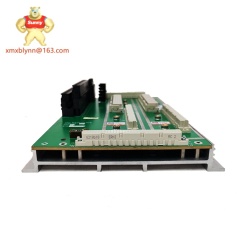 TRICONEX  DO2401 7400209-030 | Digital Output Module
