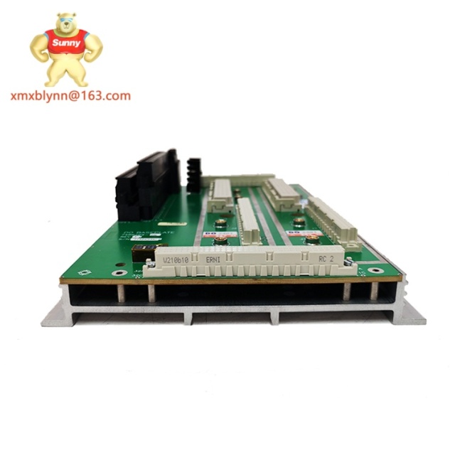 TRICONEX  DO2401 7400209-030 | Digital Output Module