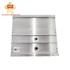 TRICONEX  DO2401 7400209-030 | Digital Output Module