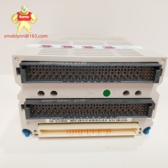 EMERSON  5X00846G01 | Analog Input Module
