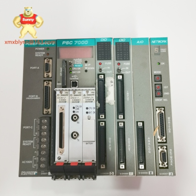 RELIANCE  S-D4039 |  Digital Input/Output Module