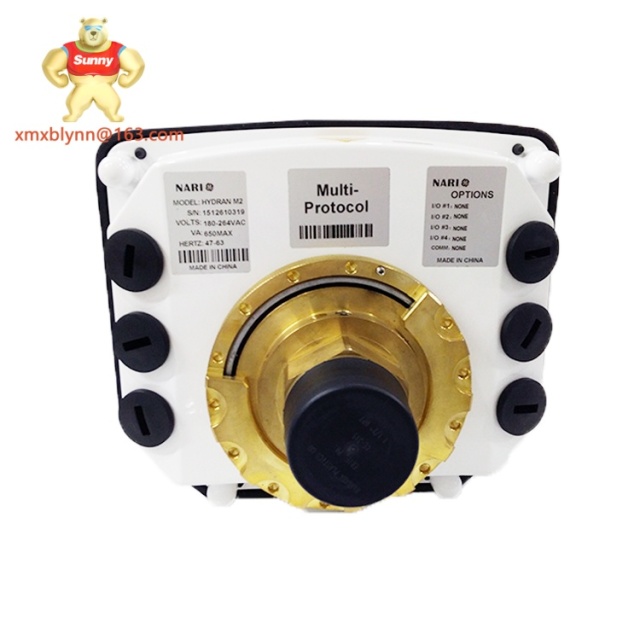 GE	HYDRAN M2 | Multi-gas DGA Monitor