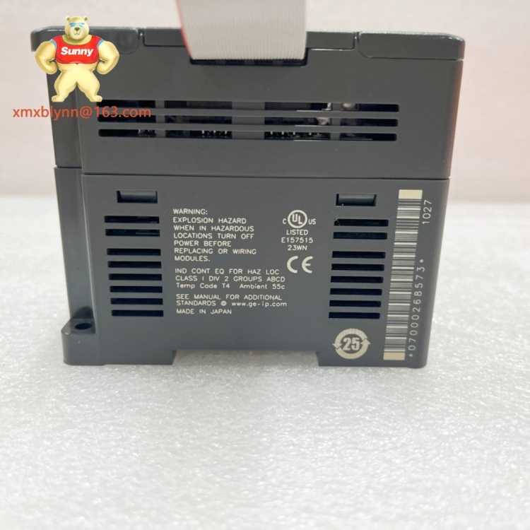 GE	IC200UEX626 | 6-point Analog Expansion Module