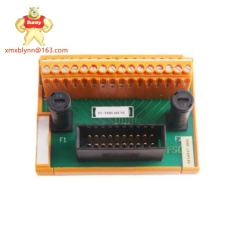 HONEYWELL	FS-SDO-0824 | Solid-state Digital Output Module