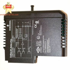 EMERSON  VE4022 | Profibus DP Series 2+ Interface Card