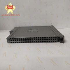 Rockwell	T8480 | TMR Analog Output Module