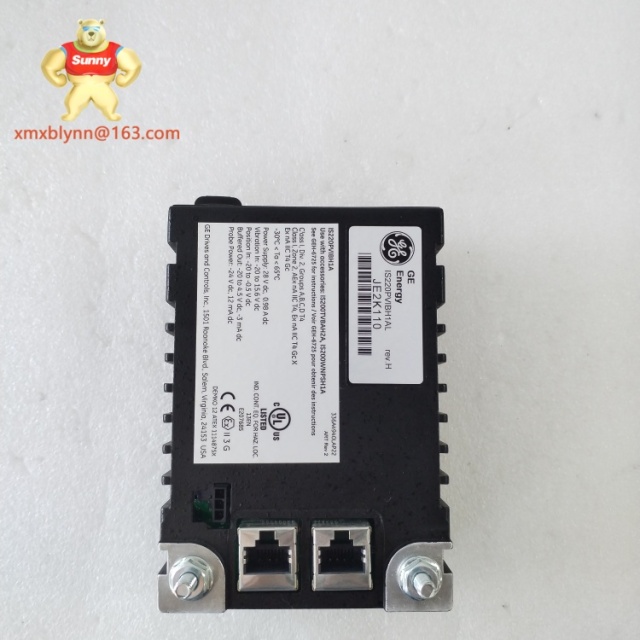 GE	IS220PVIBH1A | Vibration Monitoring Module