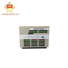 EMERSON  1C31192G01 | Digital Input Module
