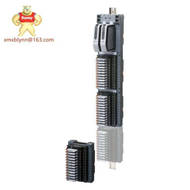 EMERSON  SE4303T01 | Industrial Temperature Transmitter