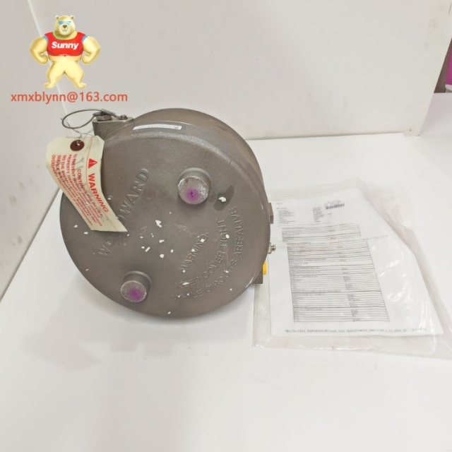 WOODWARD	9907-1200 | Control Interface Module