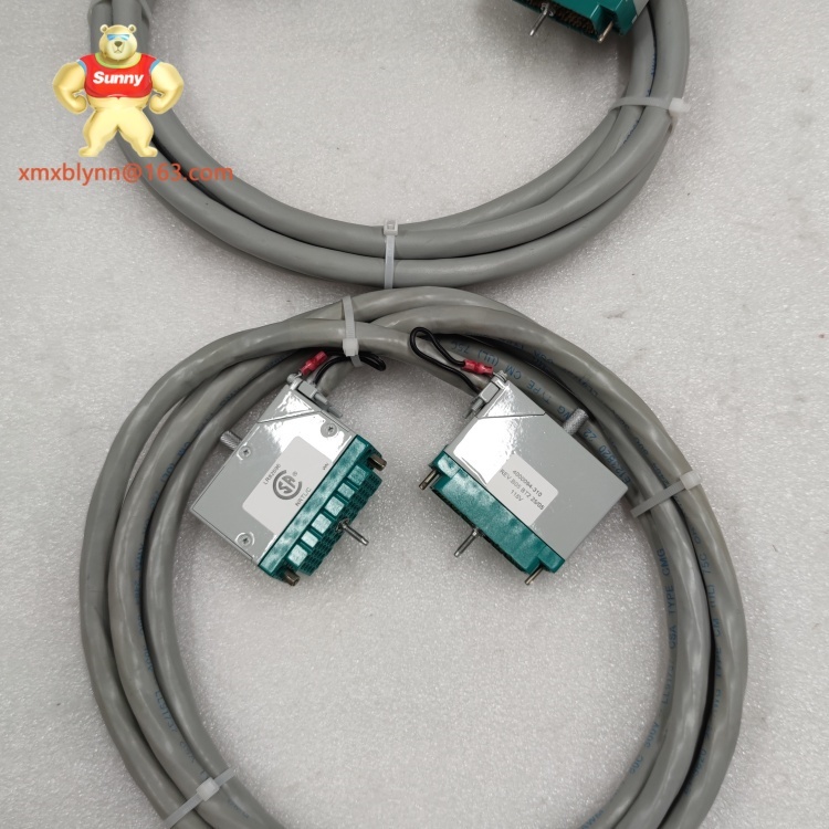 TRICONEX  4000094-310 | Safety I/O Module