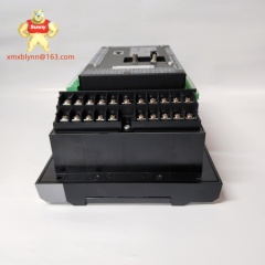GE	369-HI-R-0-0-0-0-E | High-Integrity Protective Relay
