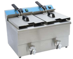 Electric Fryer