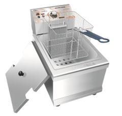 Electric Fryer